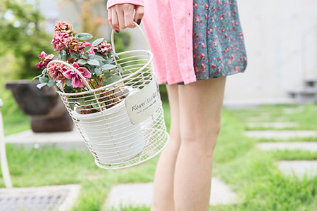 onekbit云笔记经验分享