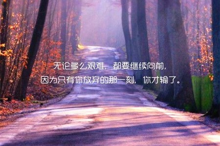 onekbit云笔记经验分享