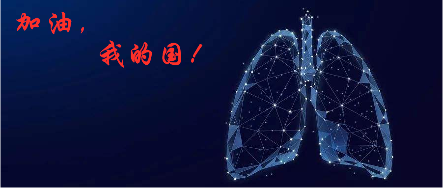 2020031517541111.png 肺_2.png