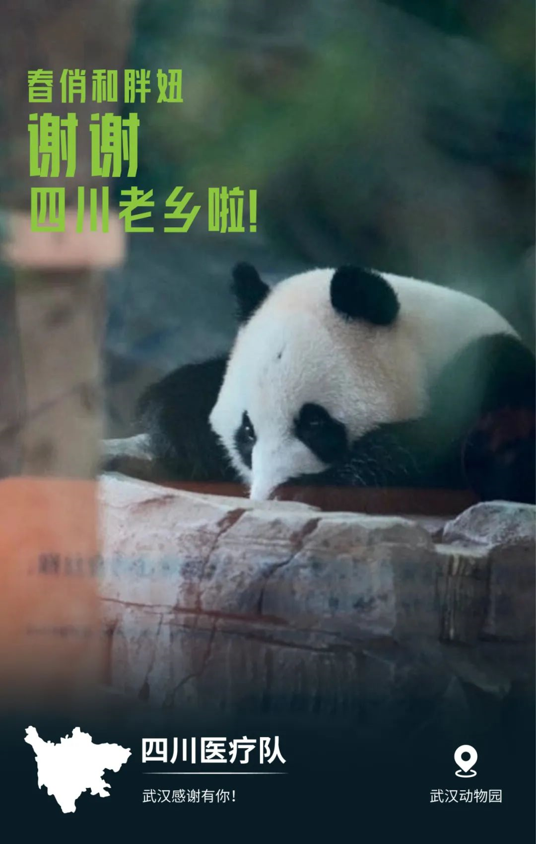 2020031914095959.png 07-四川.png