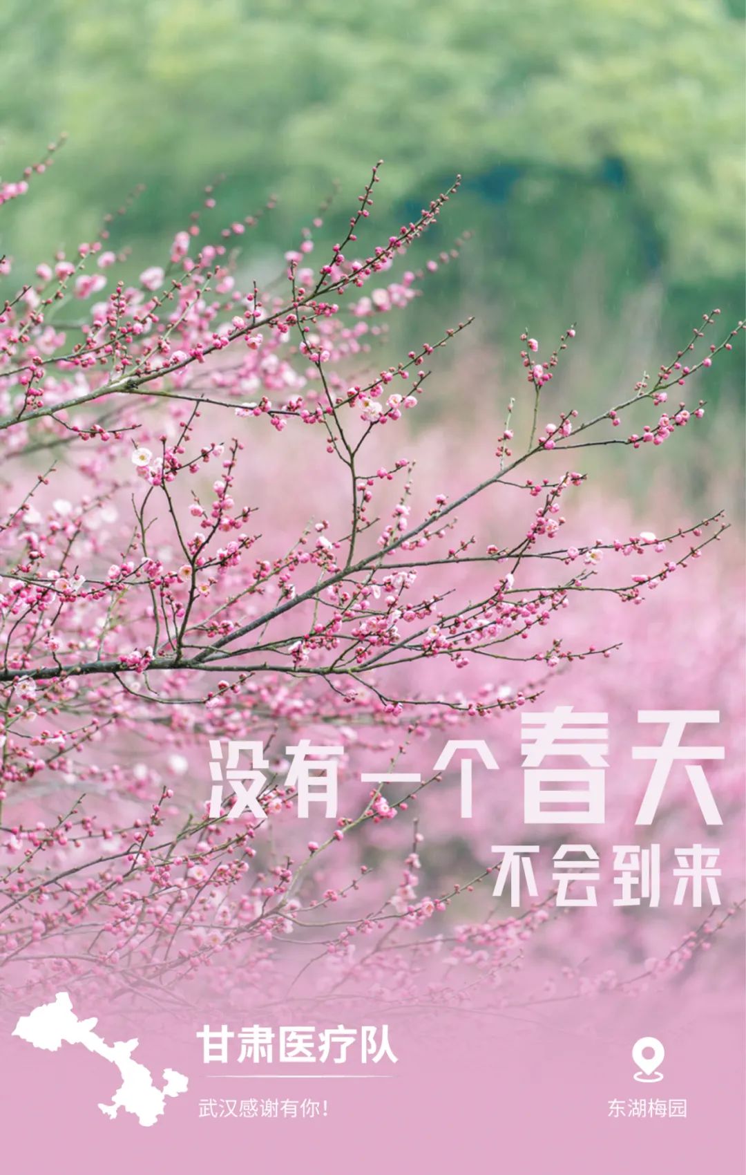 12-甘肃.jpg