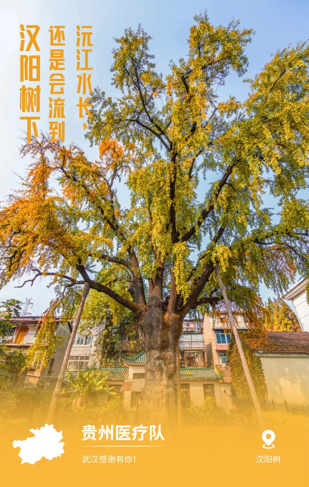 13-贵州.jpg